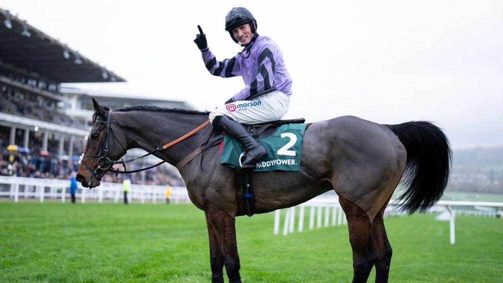 Stage Star: back in action at Cheltenham on Monday