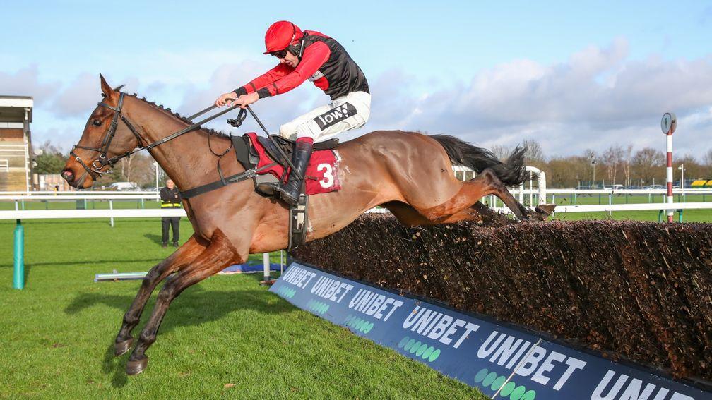 Sam Brown: could be a match for the top staying novice chasers