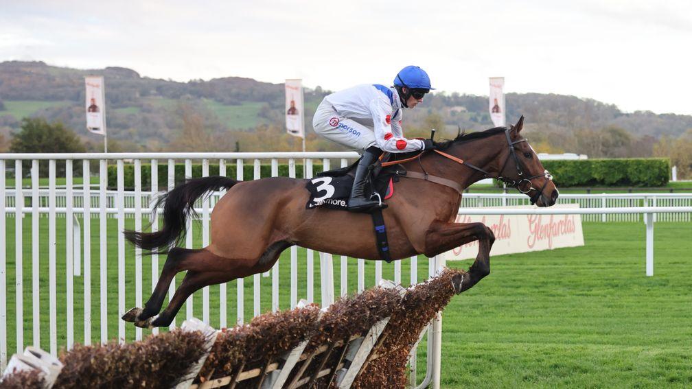 Hermes Allen: favourite for the Ballymore Novices' Hurdle