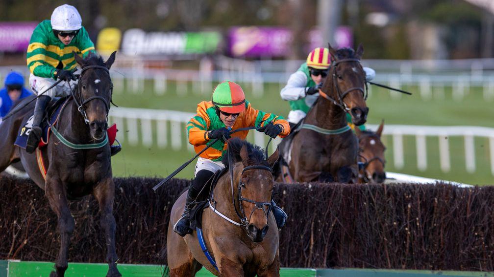 Brideswell Lad: 33-1 winner at Leopardstown