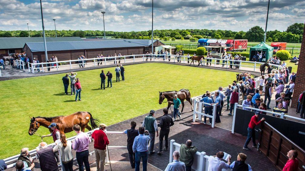 Goffs UK: the opening session of the Autumn HIT & Yearling sale returned mixed results