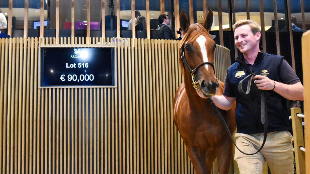 Coulonces Sales' Churchill filly led the way early on day four of the Arqana October Yearlings Sale