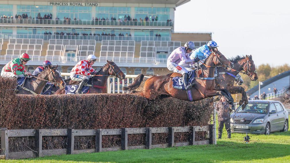Jetoile (near-side, purple): jumps a fence en route to success in the Grade 2 Old Roan Chase