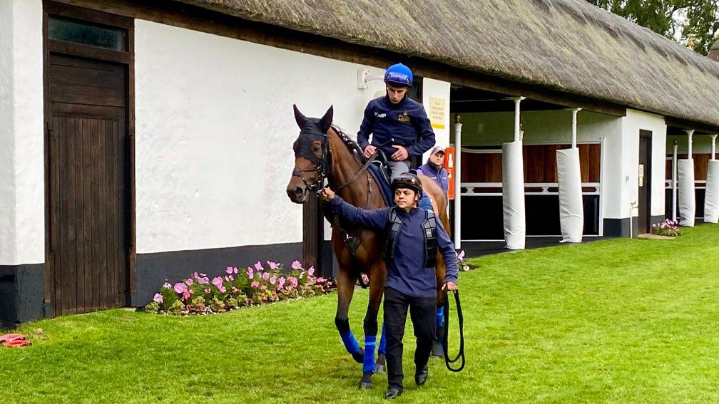 William Buick: worked with Emily Upjohn on the Newmarket July course on Saturday
