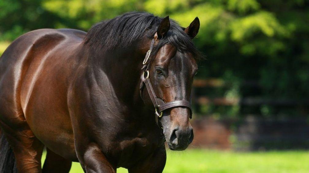 No Nay Never: Coolmore sire supplied three winners at Glorious Goodwood