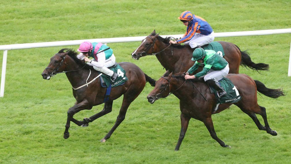 Siskin cemented his place as the leading Irish two-year-old with his victory in the Phoenix Stakes