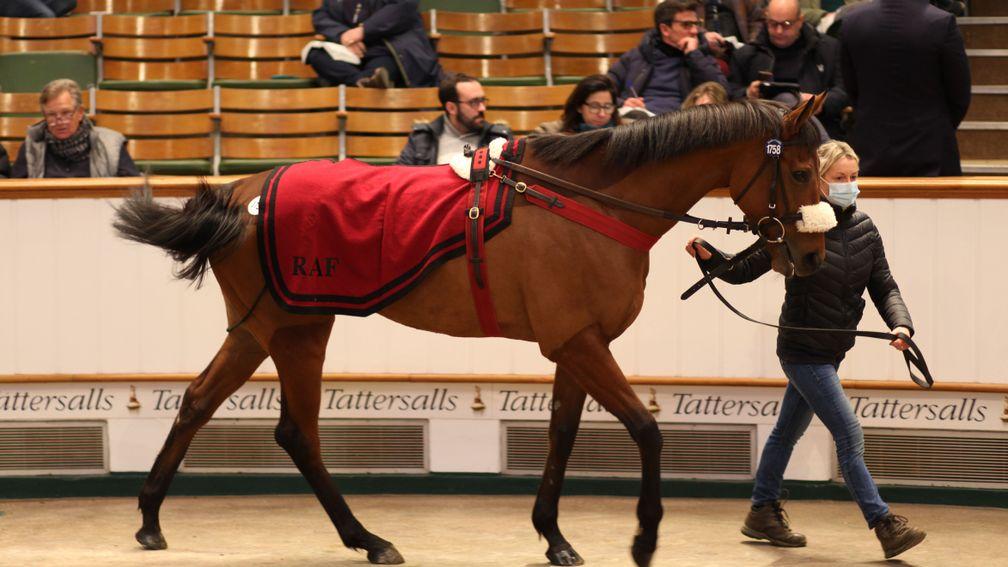Fev Rover: Tattersalls December Mares Sale graduate struck in the Beverly D Stakes on Saturday