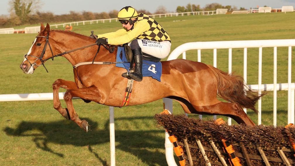 Daddy Long Legs: completes a treble for Paul Townend with success on his hurdling debut