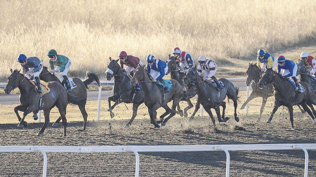 Runners in the 7f handicap race down the back straight. The winner was Conflict  Kempton 10.8.22 Pic: Edward Whitaker