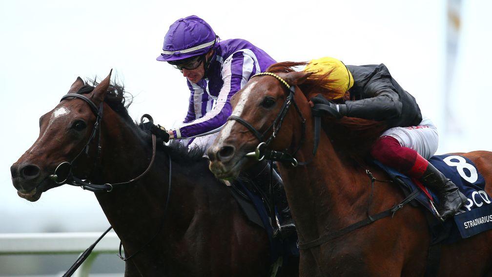 Kew Gardens (left) beat Stradivarius by a nose in a thrilling finish to the Long Distance Cup