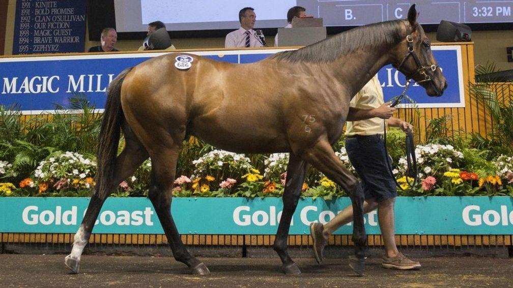 Five yearlings made seven figures during third session of the Magic Millions Gold Coast Yearling Sale