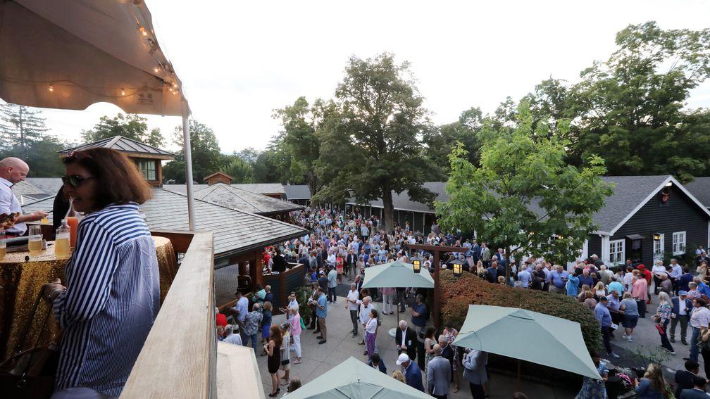 The busy scenes at the Saratoga Sale