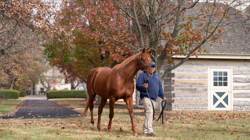 Gun Runner: fee has been listed as private for 2023 after being $125,000 this year