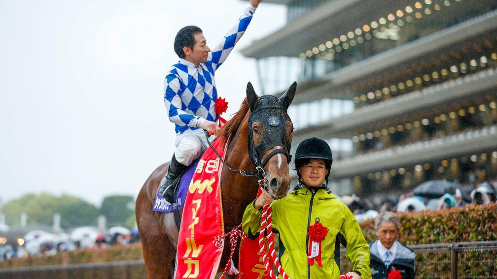 Champagne Color: winner of the NHK Mile Cup in Tokyo 
