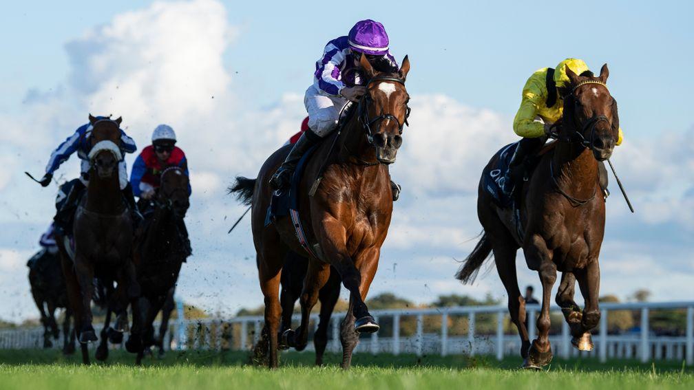 Magical (purple) wins the 2019 Champion Stakes, the last time the race was run on the inner course at Ascot