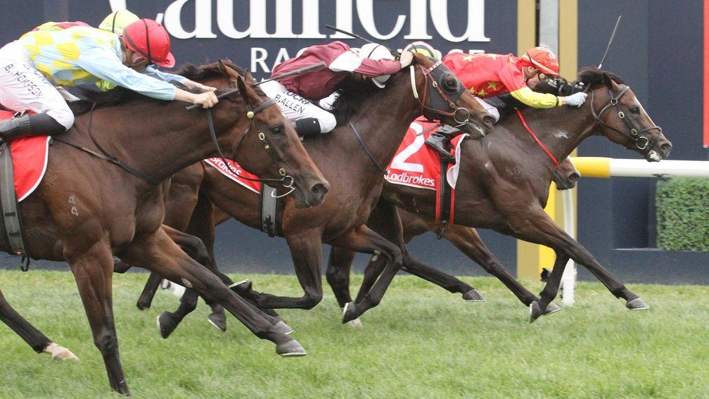 Russian Revolution (2) on his way to winning Saturday's Oakleigh Plate at Caulfield