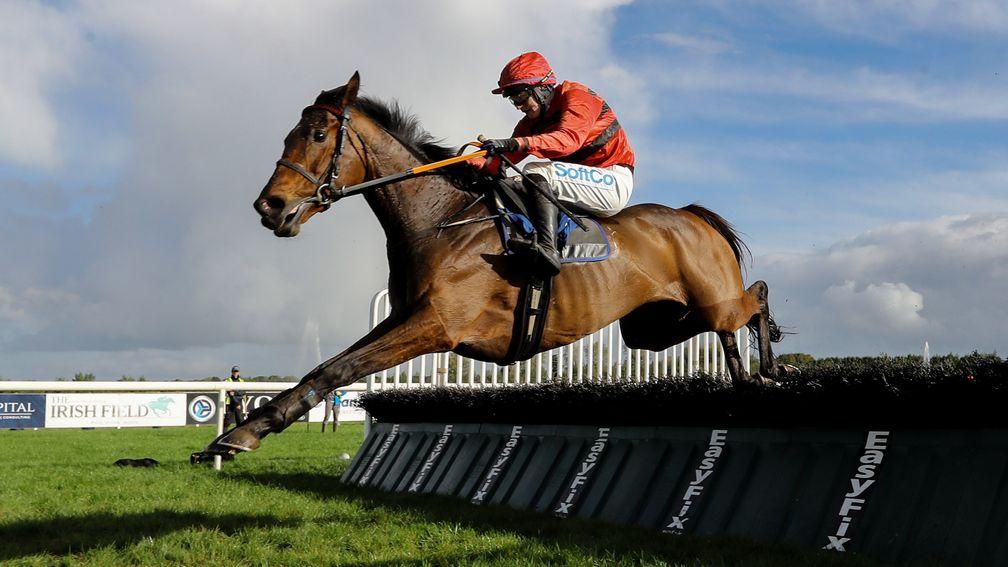 Rebel Ivy: was last seen when winning a Listed race at Limerick in October