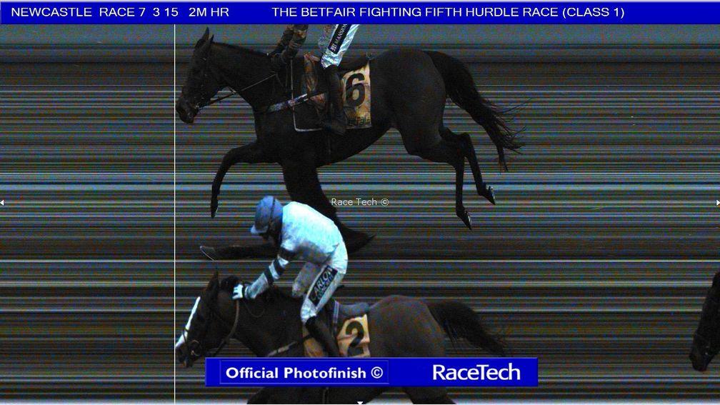 Not So Sleepy (near side) and Epatante could not be separated in last year's photo-finish
