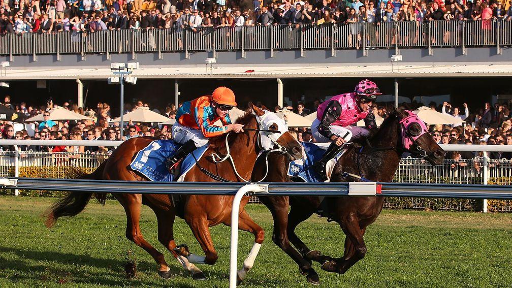 A race unfolds at Doomben racecourse