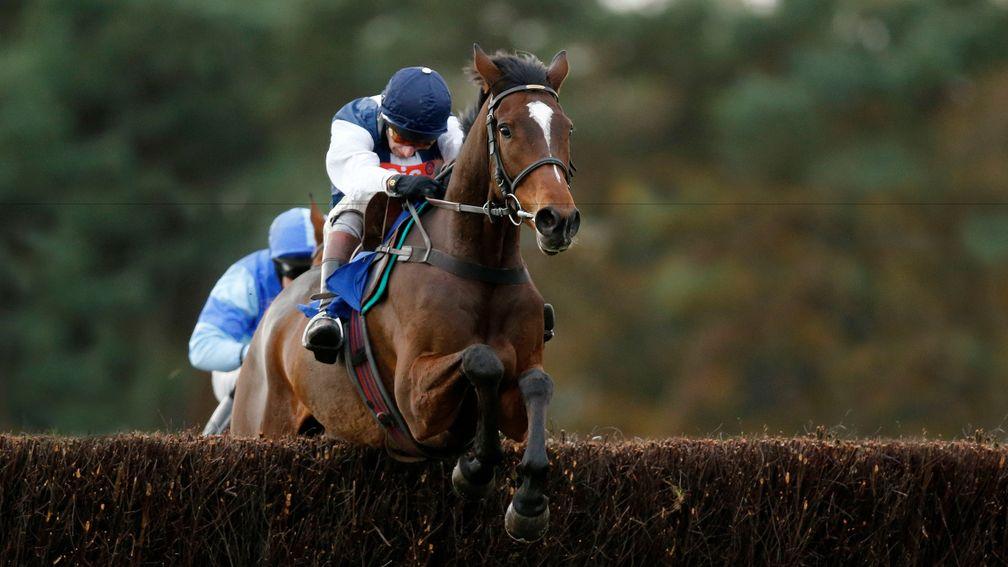 Walk In The Mill: likely to be right on the cut-off point in the Grand National