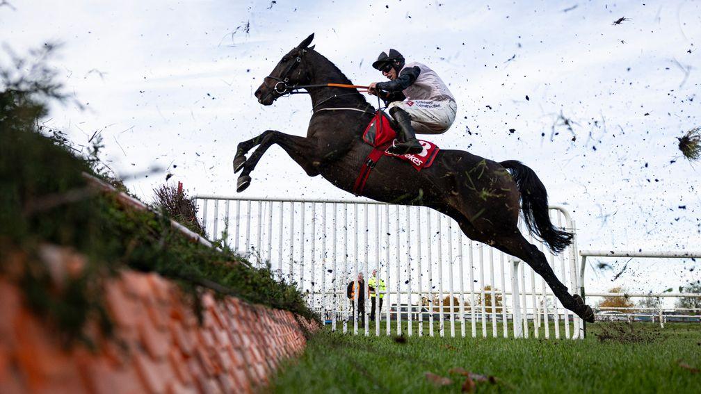 Gerri Colombe: will head to Leopardstown instead of the King George at Kempton