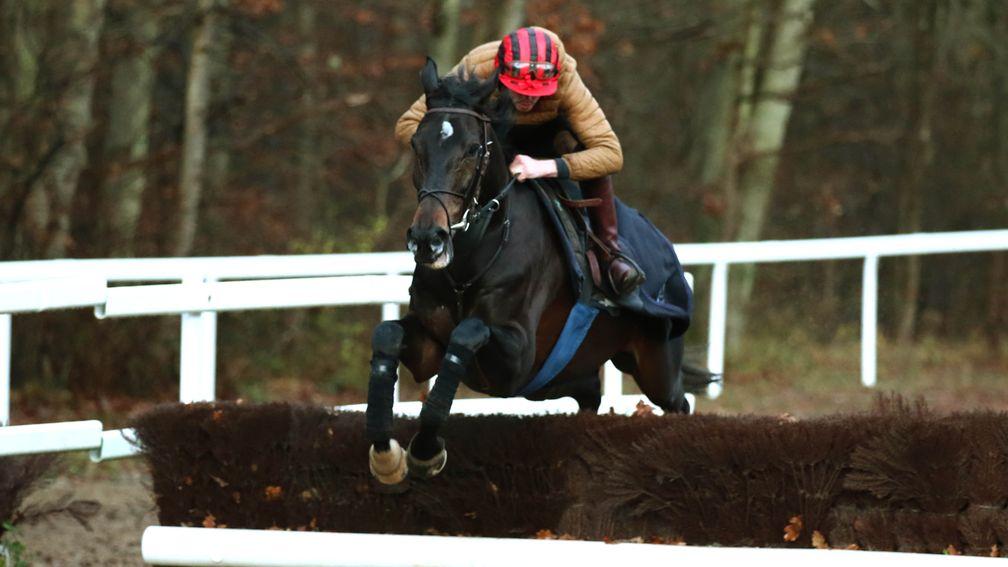 Il Est Francais has taken well to schooling over British-style fences ahead of his run at Kempton on Boxing Day