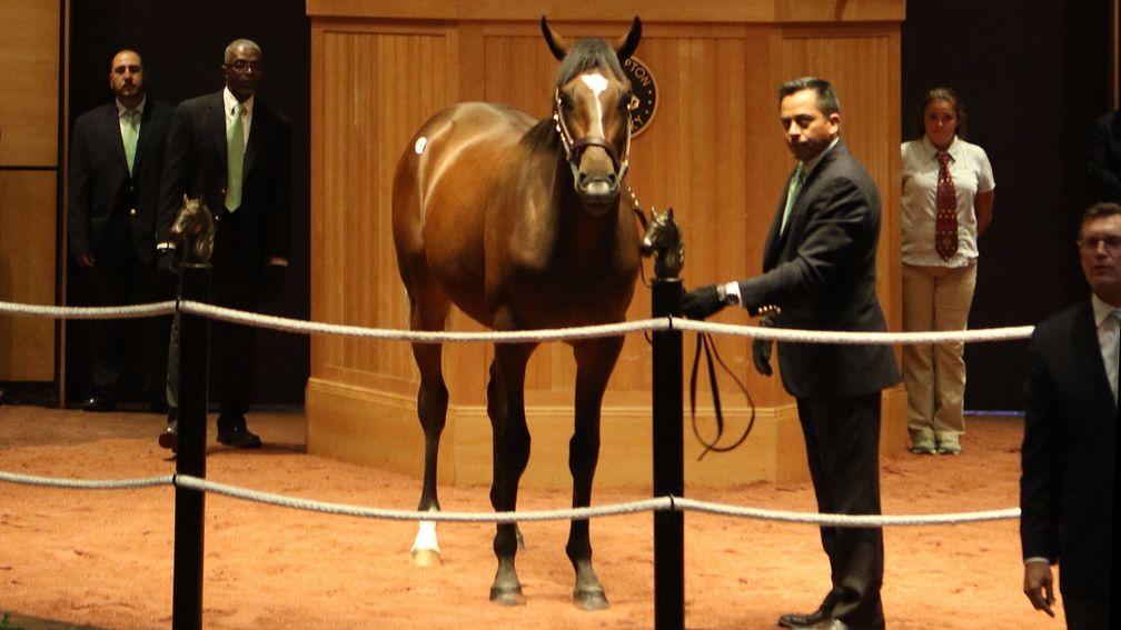 The second Scat Daddy colt to reach $250,000 is from the family of Yesterday and Quarter Moon