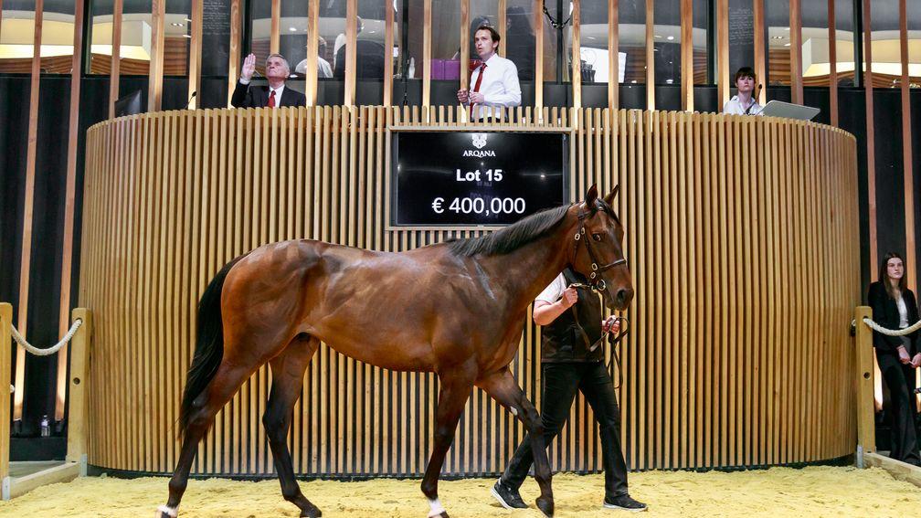 The Sea The Stars colt out of Valais Girl sells at Arqana for €430,000