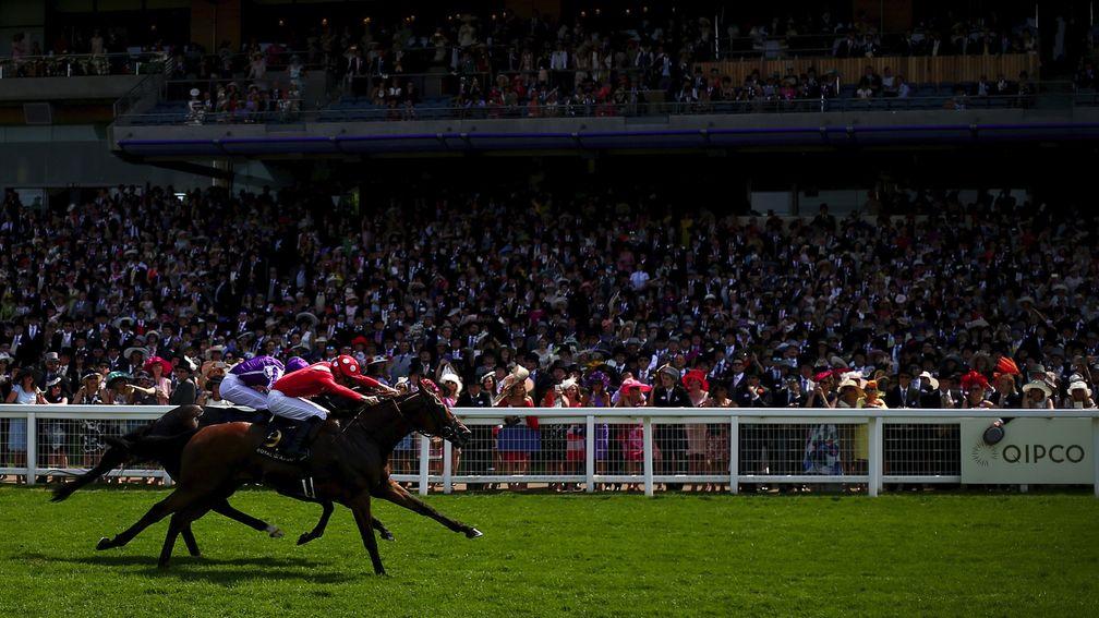 Le Brivido (near side) wins the Jersey Stakes - a spectacular dividend on Voute's first ever breeze-up investment