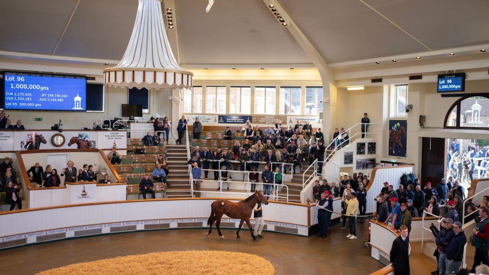 The Dubawi colt out of Shastye becomes the first yearling to make seven figures at the 2023 Book 1 Sale