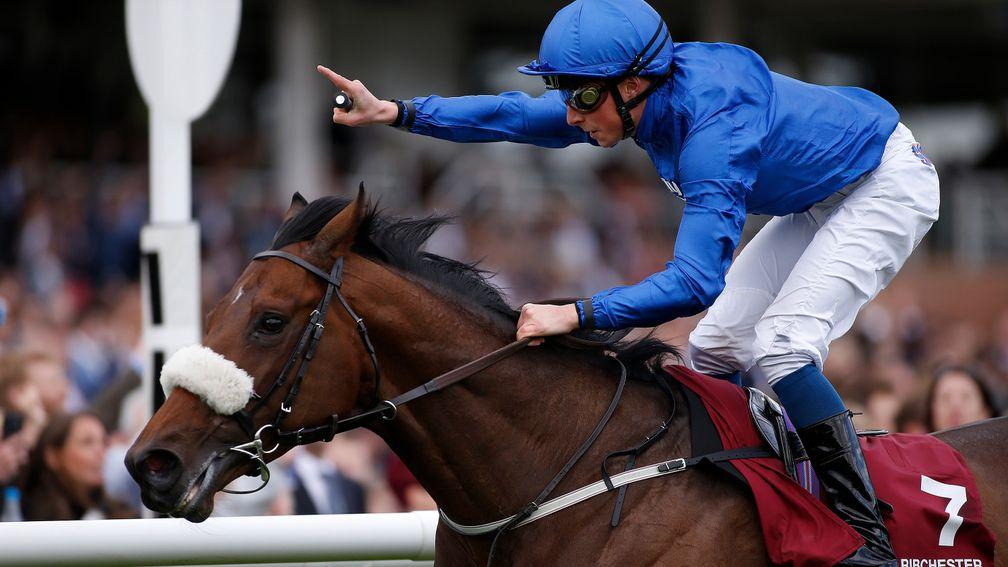 Ribchester: leading the charge of future Darley sires at Royal Ascot