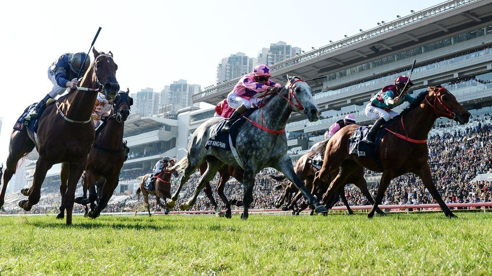 Hot King Prawn (centre) will bid to improve on last year's second place in the Hong Kong Sprint
