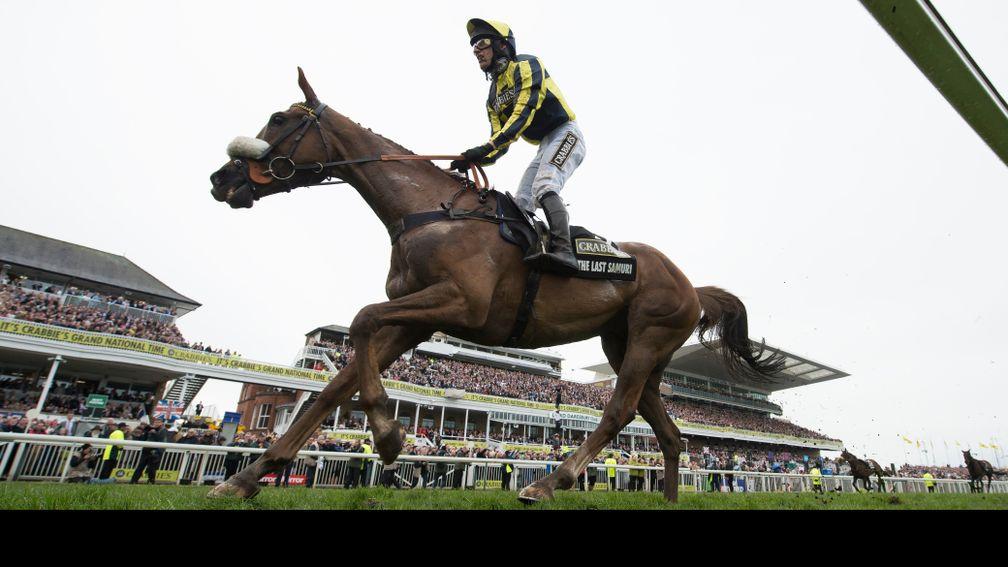 The Last Samuri: Grand National second retired after disappointing at Newbury