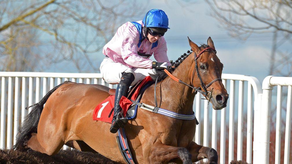 Final Nudge has right attributes for Coral Welsh Grand National