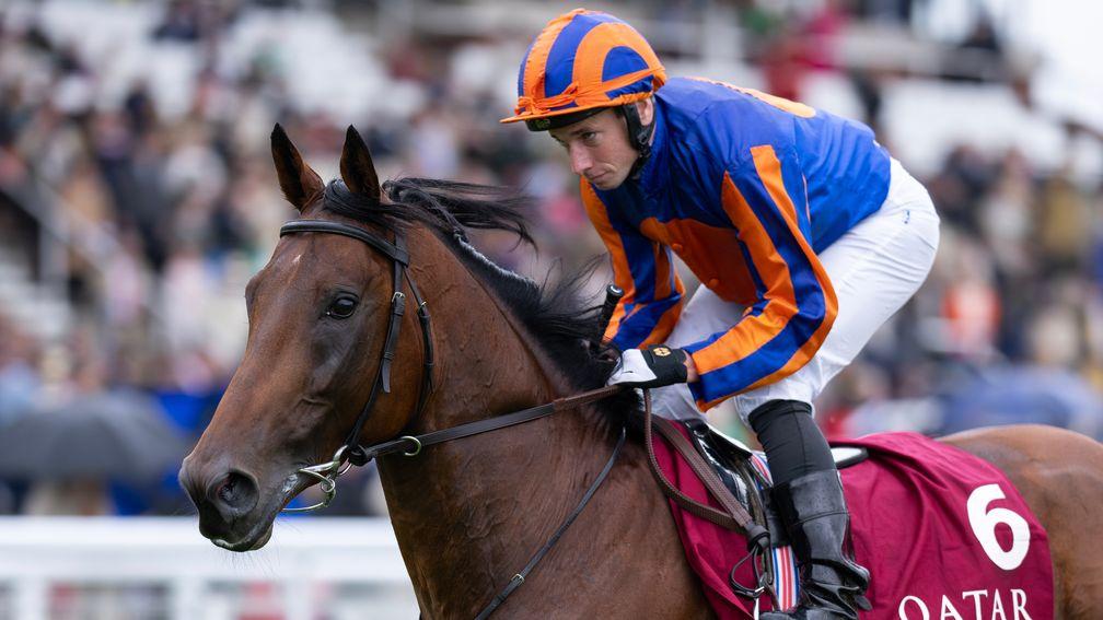 Paddington (Ryan Moore) go to post for the Sussex Stakes
