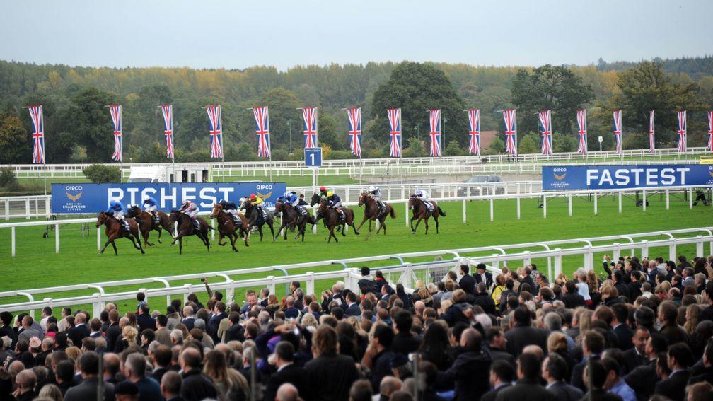 Ascot: nominated for four awards