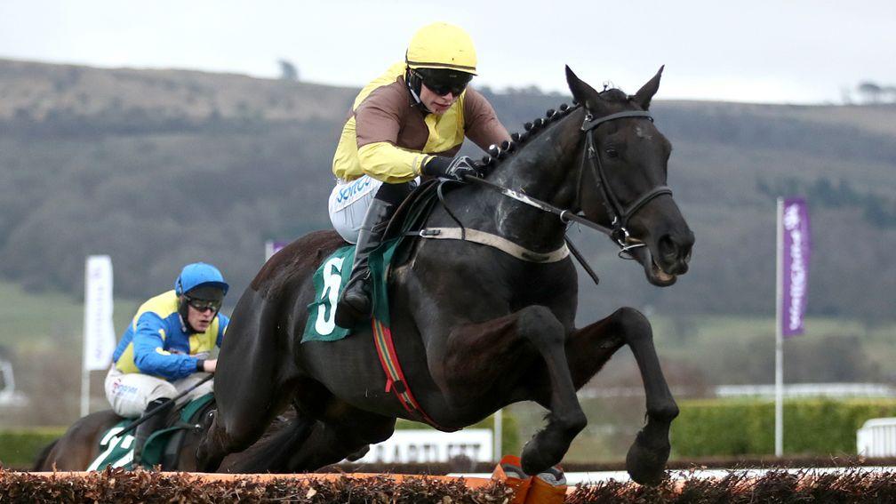 Galopin Des Champs: will be a strong favourite to maintain his unbeaten record over fences