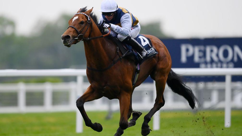 Docklands: Hayley Turner out for more success at Ascot with Docklands