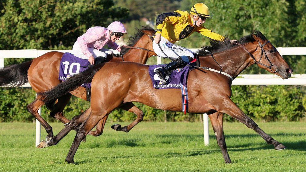 Emily Dickinson (no.10) goes up 17lb for her narrow defeat in the Stanerra Stakes at Leopardstown