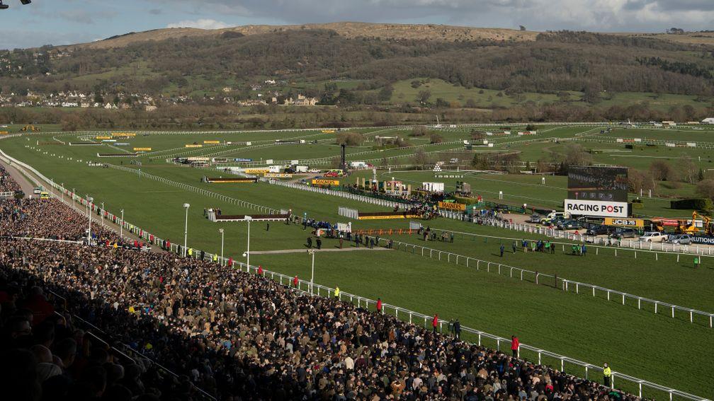 The decision to go ahead with this year's Cheltenham Festival continues to be the subject of comment and scrutiny