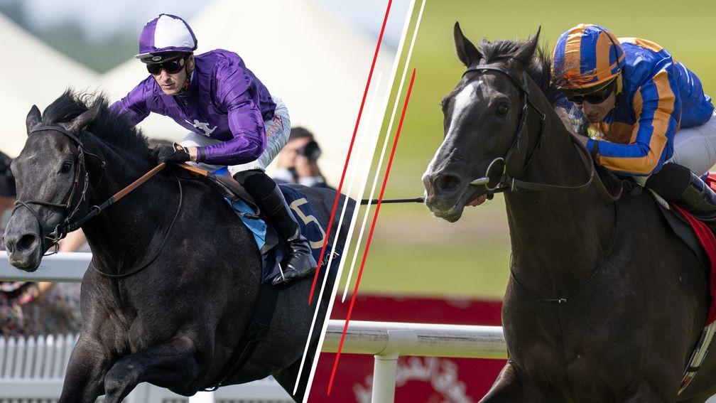 King Of Steel (left) takes on Auguste Rodin (right) in the Irish Champion Stakes on Saturday