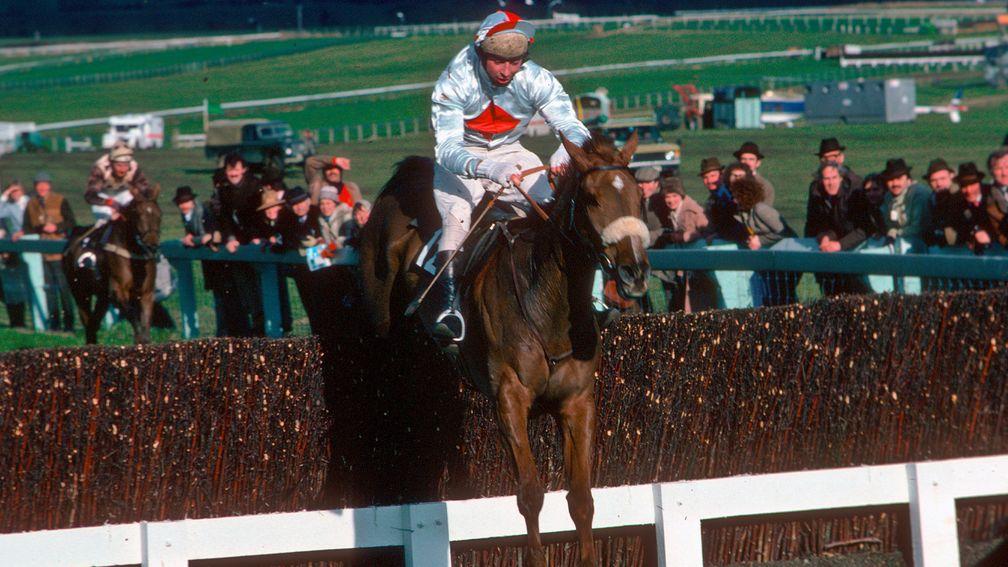 Master Smudge and Richard Hoare finished second in the 1980 Gold Cup but were awarded the race on the disqualification of Tied Cottage