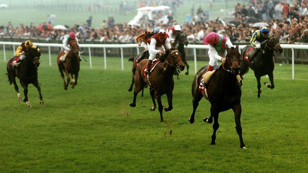 Pat Eddery looks around for non-existent dangers as Zafonic wins the 1993 2,000 Guineas