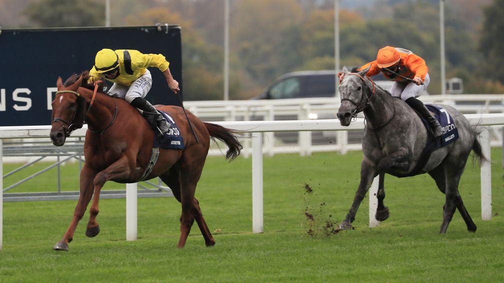 Addeybb lands the Champion Stakes in style