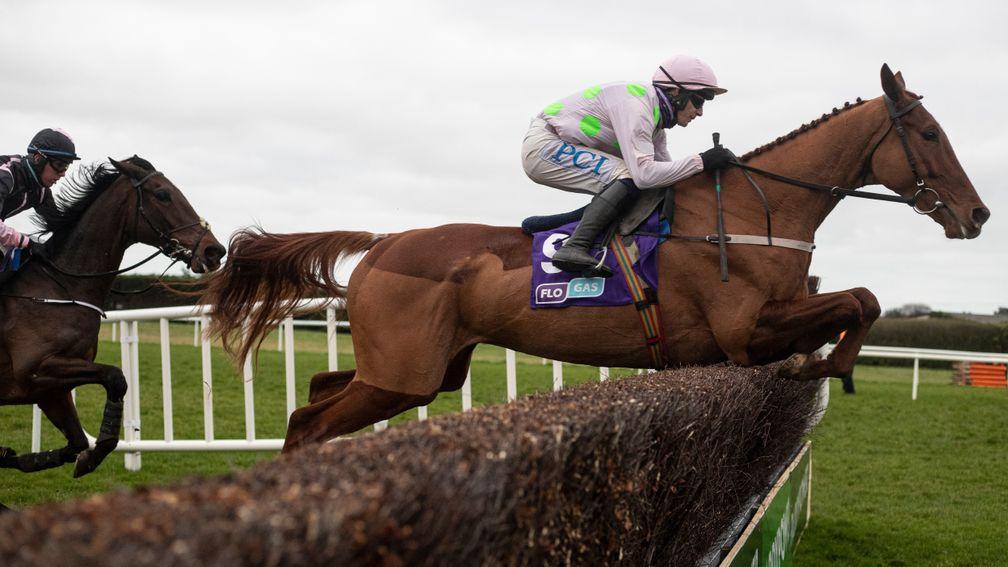 Monkfish: won his beginners chase at Fairyhouse on this day last year