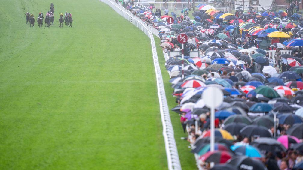 Goodwood: relentless rain fell at the course throughout the card