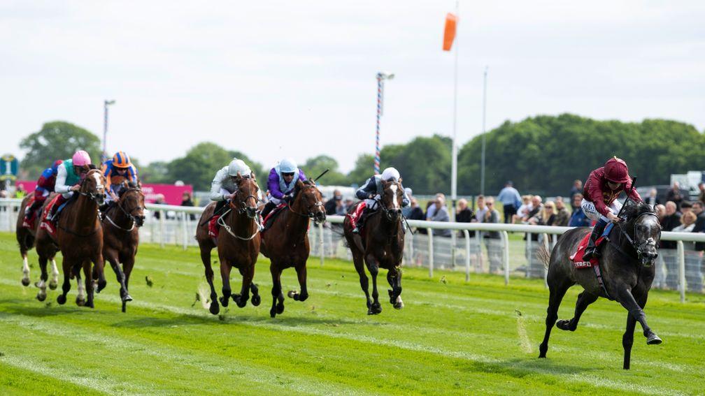 Roaring Lion: showed his liking for the mile and a quarter trip when striding away with the Dante Stakes at York