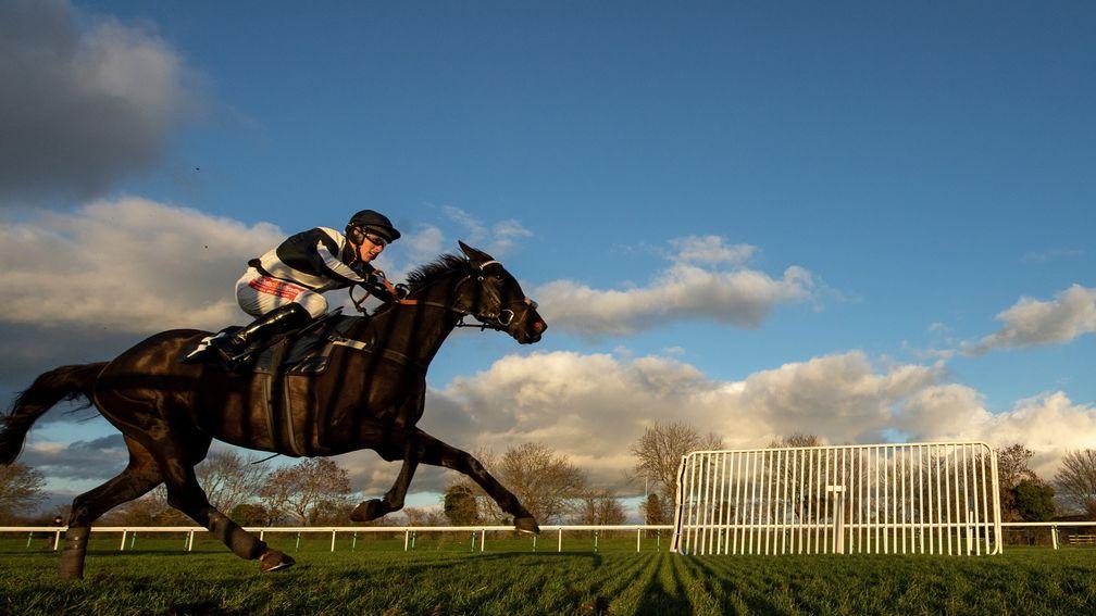 Timetochill powered clear to win the Listed mares' bumper at Huntingdon