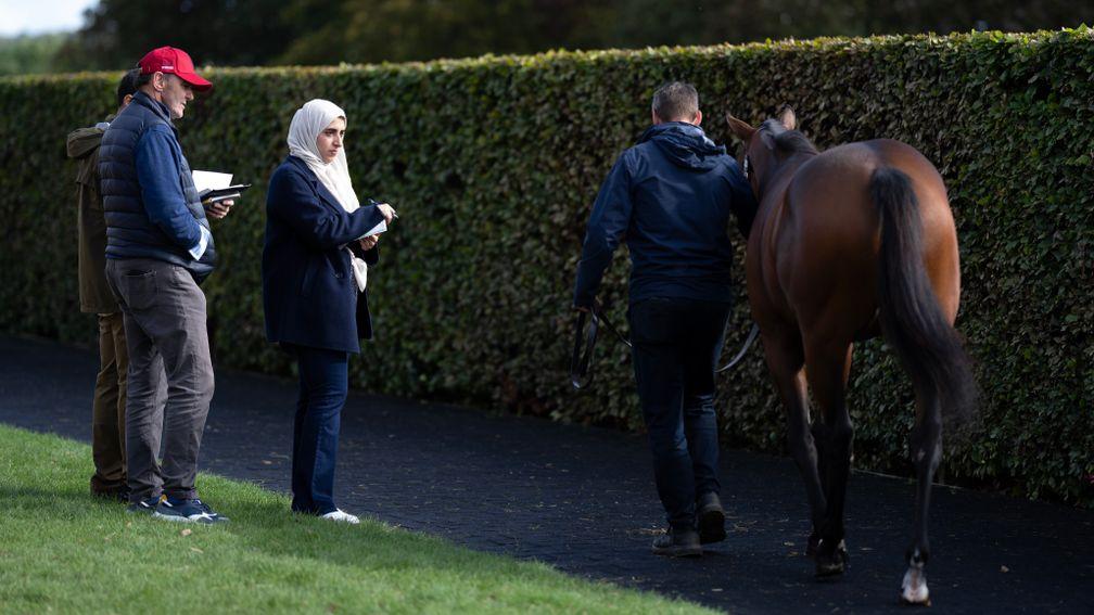 Sheikha Hissa and Angus Gold look at a yearling consigned by Barronstown Stud on the first day of Book 1 at Tattersalls
