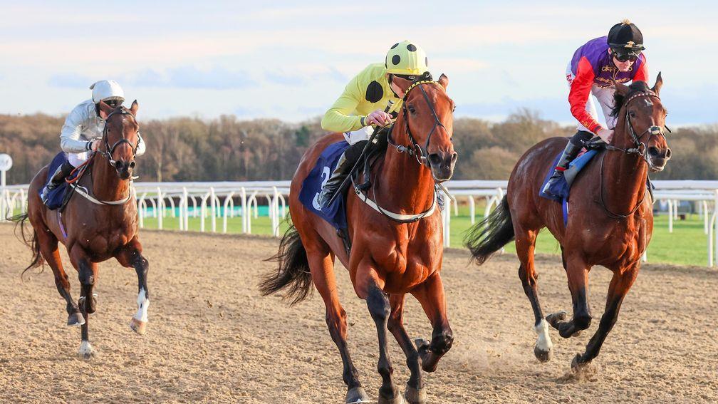 Imperial Sovereign (yellow): a big market mover in Lingfield's Derby Trial